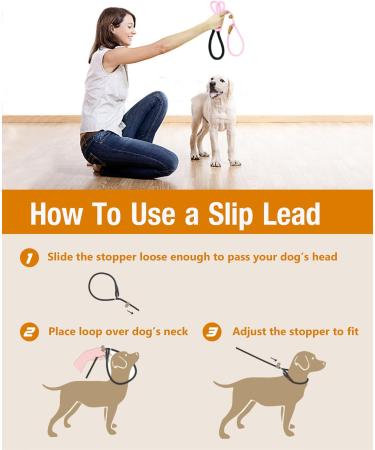 Lynxking Strong Heavy Duty Braided Rope Slip Lead for Medium, Large & Small Dogs - Black, 1/2in x 5ft - Buy Online on GoSupps.com