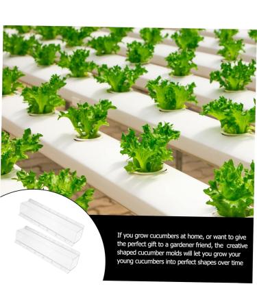 Milisten 6 Pcs Square Cucumber Molds Vegetables Fruit Avocado Tool Cucumber Shaping Mold Garden Tools Gourd - Buy Online on GoSupps.com