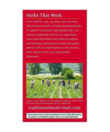 Traditional Medicinals Organic Throat Coat Lemon Echinacea Herbal Tea - 32 Tea Bags - Buy Online on GoSupps.com