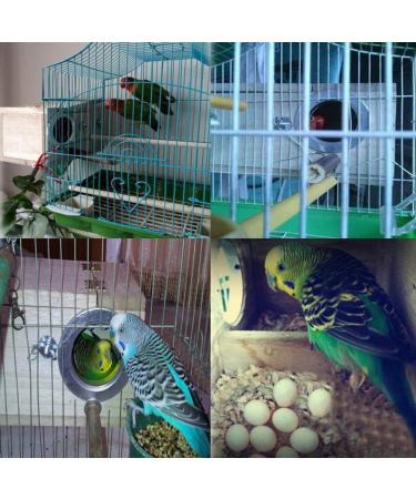 Parakeet Nesting Box - Ideal Breeding Cage for Finch, Lovebirds, Cockatiel, Budgie, Conure, and Parrot - 8'' x 5'' x 5 - Buy Online on GoSupps.com