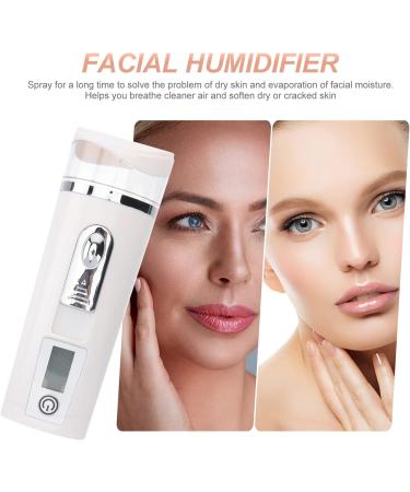 Baluue 2pcs Hydrating Instrument Fog Humidifier Portable Humidifer Mini Face Sprayer Face Steamer Abs White - Buy Online on GoSupps.com