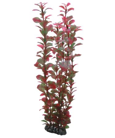 Hobby Ludwigia 34 cm - Buy Online on GoSupps.com