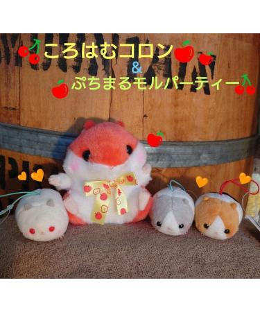 Korohamu Cologne & Puchimaru Mole Party Set