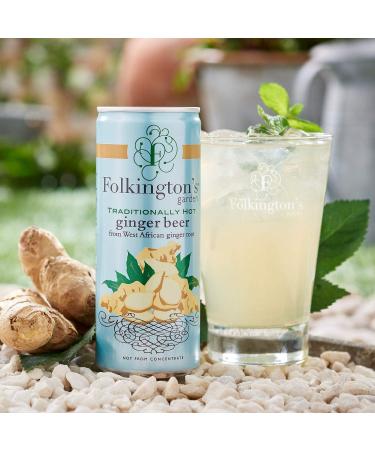 Folkington's Ginger Beer 12 x 250ml Cans - Premium Sparkling Soft Drink and Perfect Gin Mixer - Buy Online on GoSupps.com