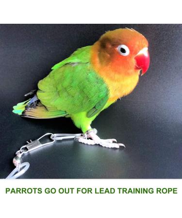 BESPORTBLE 3 Pcs 15 Bird Leash Parakeet Harness Bunny Leash Bunny Harness Cockatiel Leash Cockatiel Harness Size 5x3pcs As Shownx3pcs - Buy Online on GoSupps.com