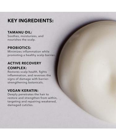 SUNDAY II SUNDAY Signature Replenishing Conditioner - Hydrate & Restore Dry Damaged Hair Decrease Breakage 12 fl oz - Buy Online on GoSupps.com