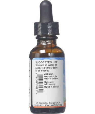 Buy Organic Kelp - 0.02 Pound for Health & Wellness | Fast Worldwide Shipping - Buy Online on GoSupps.com