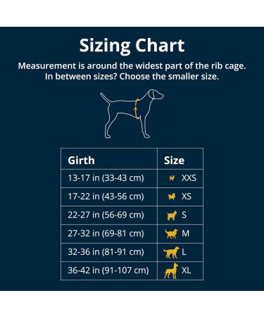 Shop Luffwear Flagline Dog Harness - Adjustable Lightweight 3 Reinforced Points Handle - Lichen Green (Small 56-69 cm) - Buy Online on GoSupps.com