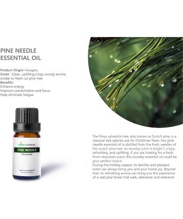 Christmas Essential Oils Set - Premium 6 Pack (10ml Each) | Cinnamon Clove Nutmeg Pine Candy Cane Holiday Joy - Perfect for Holiday Aromatherapy - Buy Online on GoSupps.com