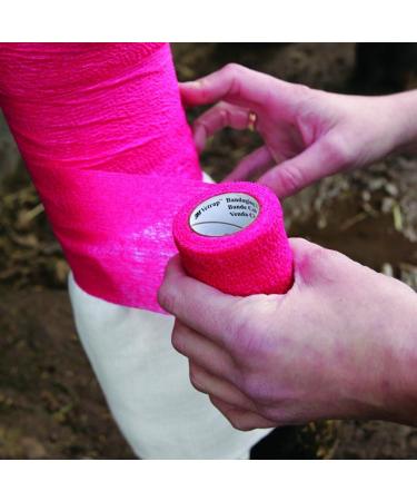 Cohesive Bandage - 12 Rolls 10cm x 4.5m | First Aid Sports Wrap & COBOX Pet Vet Wrap - Self Adherent Ideal for Pets & Athletes - Buy Online on GoSupps.com