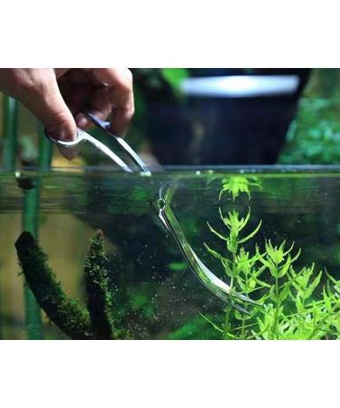 Shop Stainless Steel 25cm Curved Aquarium Plant Scissors - Wave Scissors for Aquascaping & Fish Tank Plants - Buy Online on GoSupps.com