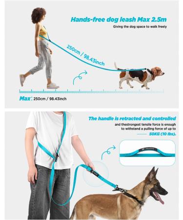 Freehand Linen Dog Leash - Adjustable 2.5m Jogging & Hiking Leash for Large Medium & Small Dogs - Fieline Exercise Leash in Black - Buy Online on GoSupps.com