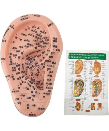 Human Ear Acupuncture Point Model - Clear Lettering Flexible PVC Multi-Purpose for Home Learning and Acupuncture Training - Buy Online on GoSupps.com
