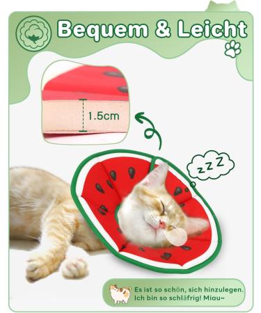 Supet Rewrise Cat Adjustable Recovery Collar - Watermelon Size S (14-23cm) - Post-Surgery & Injury Protection for Cats - Buy Online on GoSupps.com