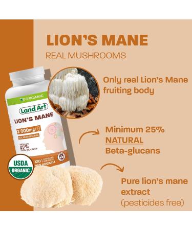 Certified Organic Lion's Mane - Cognition & Memory - 120 capsules - 2000mg- Fruiting Body - Multiple Extraction - Over 25% Beta-glucans - Made in Canada - Buy Online on GoSupps.com