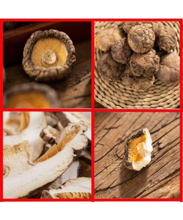 Dried Shiitake Mushrooms 16 Oz (500g) - Quick Rehydration Soft Texture Fresh Tasting Mushroom Snack | Ideal Holiday Gifts - Buy Online on GoSupps.com