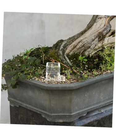 HAPINARY 3pcs Mini Liquid Feeder Ants Water Feeding Clear Ants Feeder Plastic Insect Feeder - Buy Online on GoSupps.com