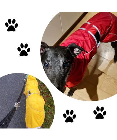 Geyecete Dog Jacket Adjustable Lightweight Raincoat with Reflective Straps and Harness Hole with Adjustable Bands Greyhound-Red-S S Red - Buy Online on GoSupps.com
