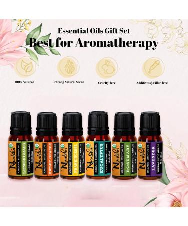 Top 6 Organic Essential Oils Set with Bracelet - Lavender Eucalyptus Rosemary Frankincense Sweet Orange Lemongrass - Perfect for Diffuser DIY Skin & Hair Care - Buy Online on GoSupps.com