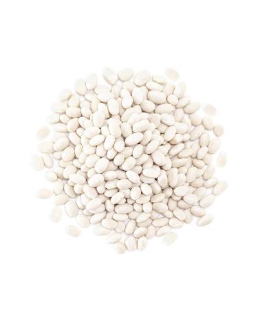 Navy Beans  2 Pounds  Non-GMO Verified  Raw  Dried  Vegan  Kosher  Whole Small White Kidney Beans in Bulk  Good Source of Protein  Fiber  Folate  and Copper. Low Sodium. Great for Cooking and Soups - Buy Online on GoSupps.com