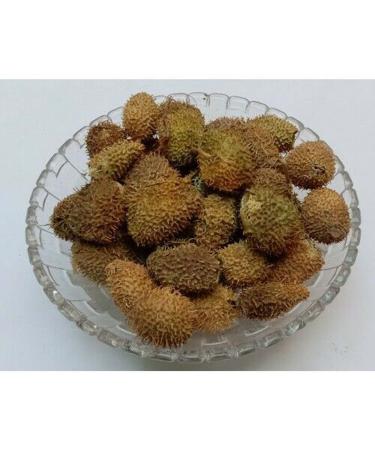 RAW HERBS/JADI BOOTI DRIED BINDAAL DODA DEVDALI LUFFA ECHINATA (250GM)
