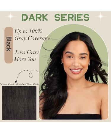 Buy 3-in-1 Black Hair Dye Shampoo | Instant Gray Hair Coverage | Long-Lasting Color Kit for Men & Women | Ginger Plant Extracts | Fast International Shipping - Buy Online on GoSupps.com