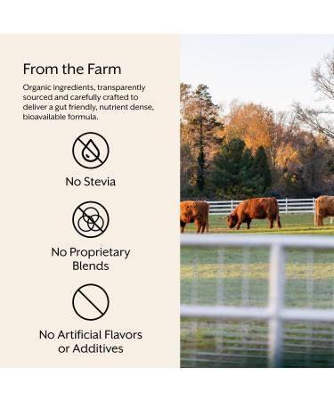 ProMix Nutrition Raw Greens Superfood Blend - Sprouted Alfalfa Wheatgrass Ashwagandha & Rhodiola - 30 Servings 6.92 Ounce (Pack of 1) - Buy Online on GoSupps.com