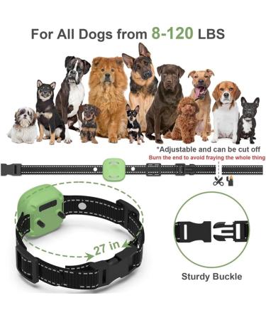 New Classic Dog Collars - Nylon Waterproof & Breathable | Easy to Handle for All Dog Sizes - Buy Online on GoSupps.com