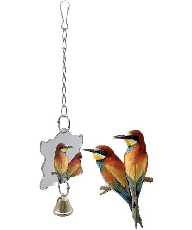10 Pack Bird Swing Chewing Toys - Parrot Hammock Bell & Perch with Wood Beads for Small Parakeets, Cockatiels, Conures, Finches & More - Buy Online on GoSupps.com