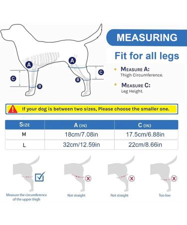 Dog Behind Leg Brace Brace Behind Leg | Brace Behind Leg Neoprene Hip Brace Adjustable Traction Belt Stabilizer for Torn ACL Leg M right - Buy Online on GoSupps.com