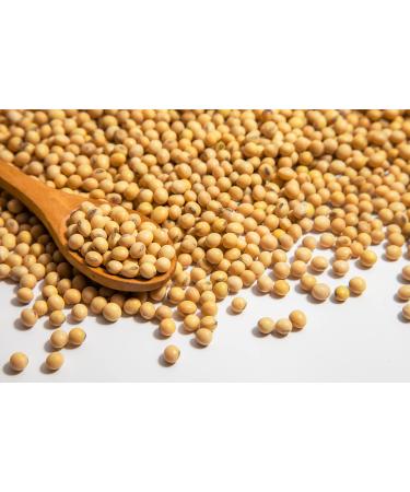 Mynatura Organic Soybeans - 3000g Natural Untreated High-Quality Dried Soy Beans for International Shipping - Buy Online on GoSupps.com