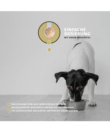 Peticare PetDog Health 2606 Vitality Powder for Dogs Supports Weight Loss and Weight Control Reduces Excess Weight and Boosts Satiety Dietary Supplement - Buy Online on GoSupps.com