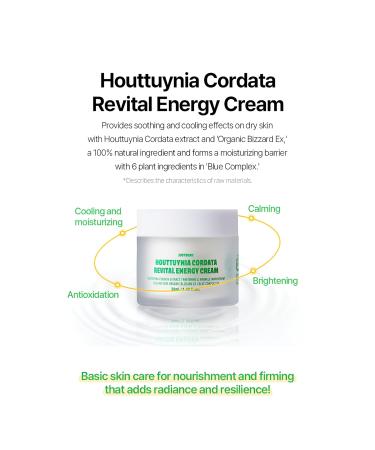 JUSTBEME Houttuynia Cordata Revital Energy Cream/Hydrating Face Moisturizer for Dry Sensitive Skin Korean Skincare for Men and Women (50ml / 1.09 fl oz) - Buy Online on GoSupps.com