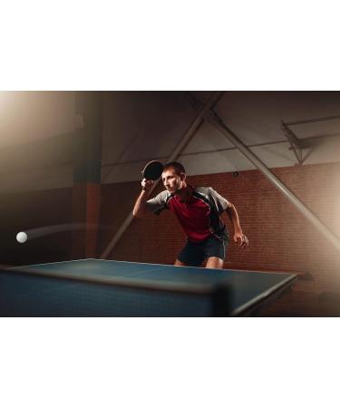 6 Pack High Bounce 1 Star ABS Table Tennis Balls | Size 40+ | Ideal for Beginner Craft Party School Activities | Family Games | Pets Friendly - Buy Online on GoSupps.com