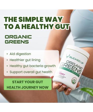 Greens Superfood Powder Mixed Berry | 8 Most Essential Mixed Greens | Certified 100% Organic | Chlorella Spinach Kale Spirulina Alfalfa Broccoli Wheat Grass & Barley Grass | 30 SERV | 11.17 OZ - Buy Online on GoSupps.com