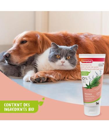 BEAPHAR ECOCERT-certified Fortifying & Anti-Hair Loss Shampoo for Dogs and Cats Contains Aloe Vera and Organic Field Horsetail Extracts Neutral pH Paraben and Silicone Free 200 ML - Buy Online on GoSupps.com
