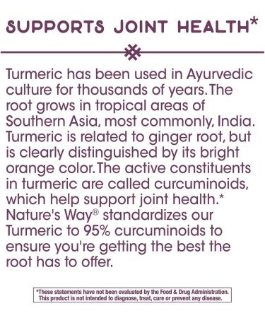 Nature's Way Standardized Turmeric 95% Curcuminoids - TRU-ID Certified (2 Pack, 120 VCaps) - Buy Online on GoSupps.com