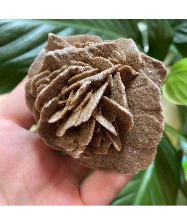 Natural Magic Natural Desert Rose Raw Stone Crystal Home Office Specimen Gift ZJGIDTEM (Size : 210-250g) - Buy Online on GoSupps.com