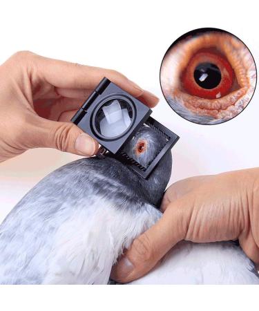 Magnifying Glass Hd Magnifying Glass Optical Glass Lens 10X Magnifier for Cloth Foldable Mini Portable Pointer Metal Frame Spinning Print Identification Inspection Professionals Desktop Magnif - Buy Online on GoSupps.com
