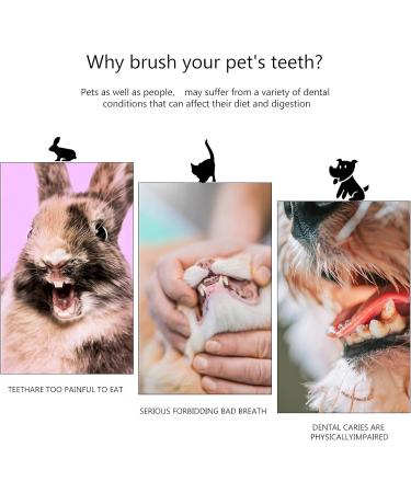 10 Soft Silicone Pet Finger Toothbrushes - Dog & Cat Dental Care Kit | Food Safe Tooth Cleaners - Buy Online on GoSupps.com