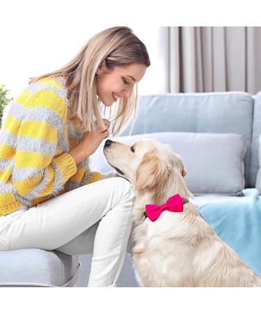 JpGdn 10pcs Small Dogs Collar Attachment Bows Ties for Puppies Cats Birthday Party Adjustable Bowties Sliding Bows Neckties Grooming Accessories Costumes Wedding 10pcs dog collar - Buy Online on GoSupps.com