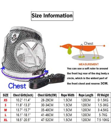 Femax Dog Harness & Linen Set - Soft Mesh Padded Reflective Adjustable Breathable for Dogs & Cats | Perfect for Walking Running Training | Size M (35-40 cm) - Gray - Buy Online on GoSupps.com