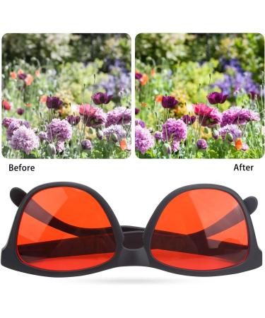 EVTSCAN Color Blindness Glasses - Red-Green Correction for Men & Women | Enhance Color Vision Worldwide - Buy Online on GoSupps.com