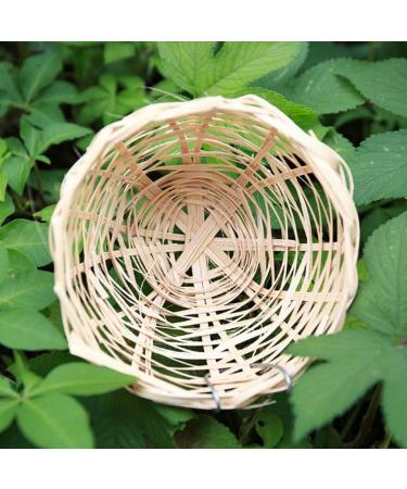 FLAMEER 6pcs Bamboo Wicker Woven Canary Nest Pans Small Bird Nest Boxes Cage Hanging - Buy Online on GoSupps.com