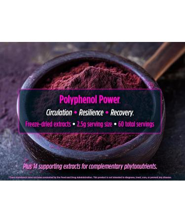 Biotest Superfood - Berry-Dense Polyphenols - 30 Servings - Buy Online on GoSupps.com