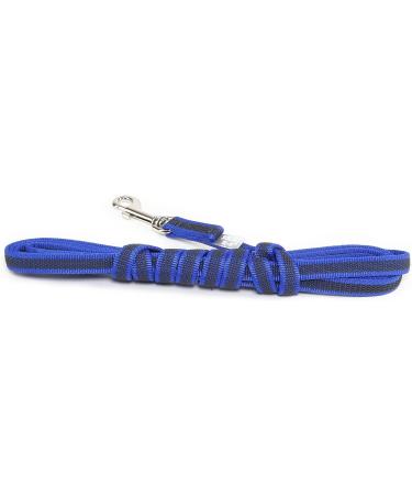 IDC Color & Gray Rubberized Dog Leash - 14mm x 3m Blue-Grey | Durable & Stylish for International Shipping - Buy Online on GoSupps.com