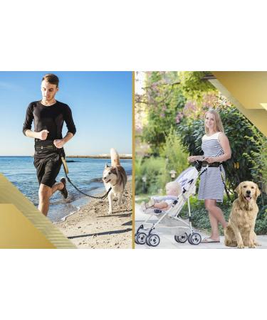 Premium 2-in-1 Jogging Leash & Normal Dog Leash for Medium & Large Dogs | Double Handle & Belly Belt for Jogging Hiking & Walking - Buy Online on GoSupps.com