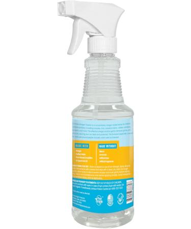 Vinegar Cleaner - Plant-Based Multi-Purpose Automotive Spray | Natural Mint Scent | 16oz - Eco-Friendly Cleaning Solution for International Shipping - Buy Online on GoSupps.com
