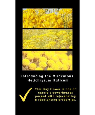 Gold Crystal Cream Serum - Restores Hair Structure, Prevents Frizz and Split Ends - Reveals Natural Shine - 1 Oz - Buy Online on GoSupps.com