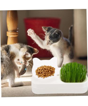 Beavorty 3pcs Set Three-dimensional eyebrow card eye brow shaping kit eyebrow shaper kit Handheld eyebrow - Buy Online on GoSupps.com